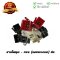สายไฟชุด Wave125s 2004 สตาร์ทมือ 11 ขั้ว ยี่ห้อ PEG